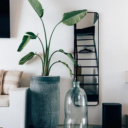 빌라 Tinosera Luxury